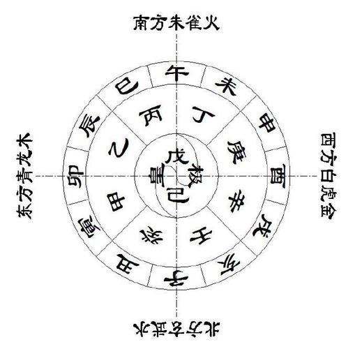 八字命理中,地支的五行属性是如何规定的?