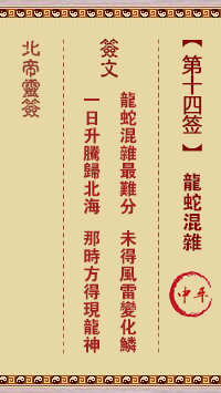 北帝灵签 第 14 签：龙蛇混杂 中平