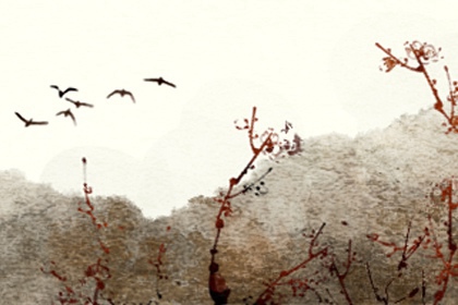 女命伤官坐劫财在年柱 生涯奔走纵能福禄