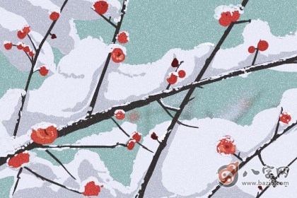 日柱查询 辛未日柱的女命如何