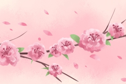 月柱正印坐正财 谋事多被阻挠