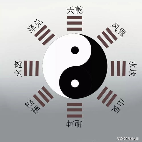 八字如何看财旺