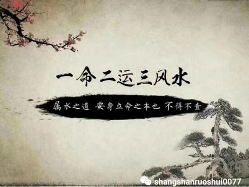 八字缺木说明没有财