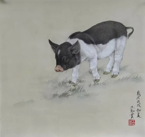 1983 属猪人女 40 岁到 49 岁运程