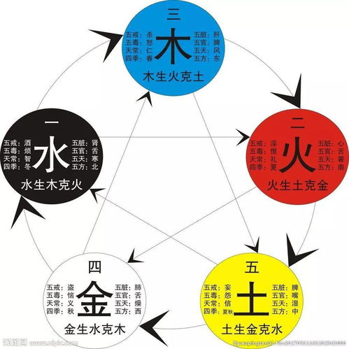 八字五行属性如何算分