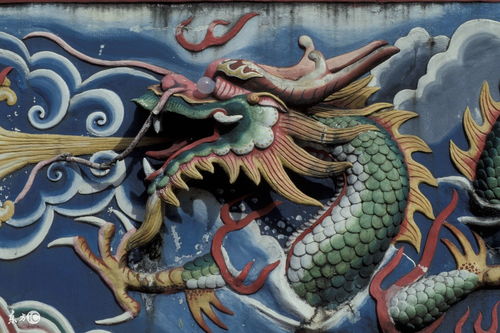 属龙的人八字金多如何