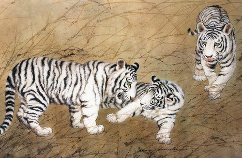 属马和属龙的人合得来吗