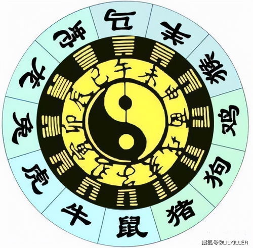 八字合属相不合如何办