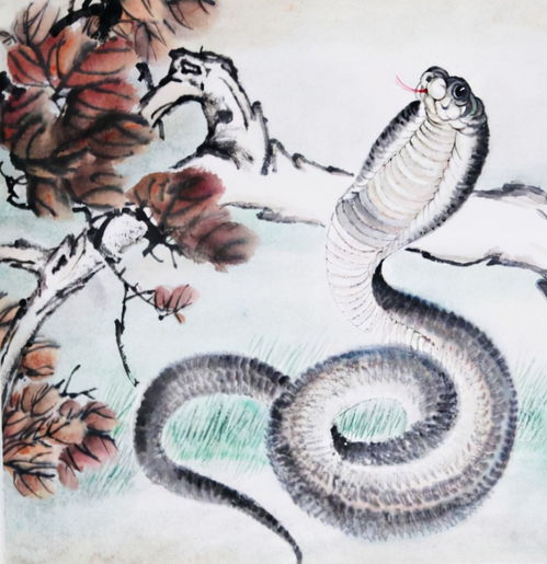 属蛇的和属猴的八字如何