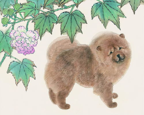 属狗的人是怎样的命金木水火土哪个命