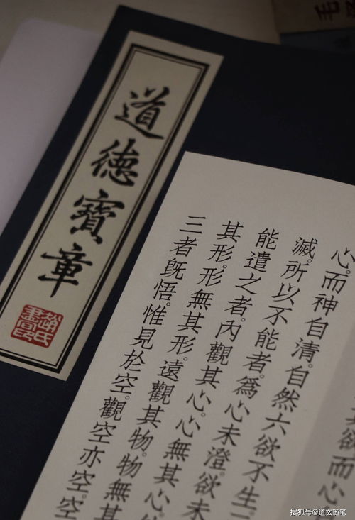 乙亥年亥时出生下来的女孩运势