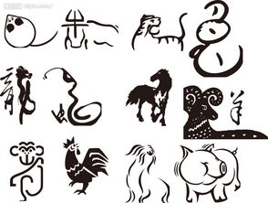 八字命理与属相关系