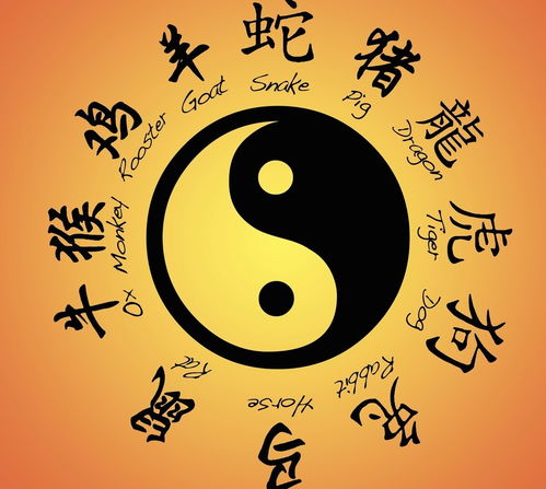 八字命理有三个生肖属相一样