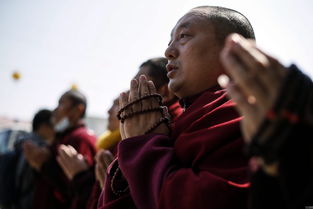 1985年 11 月初八属牛是怎样的命