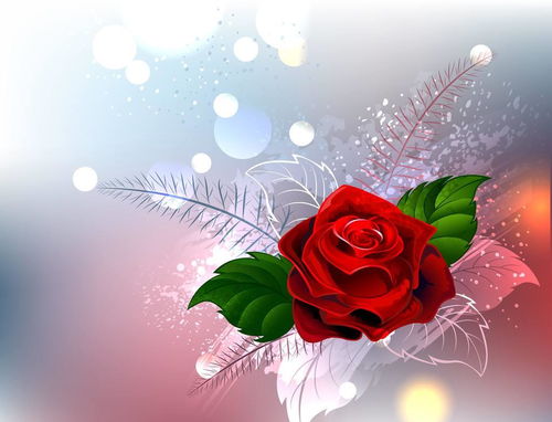 1987年属兔的姻缘运势