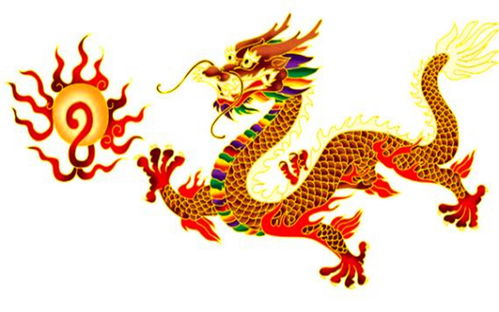 属龙人1988年幸运数字