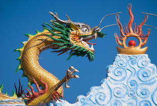 1976年属龙的人的五行属性是什么