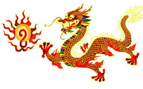 1976年属龙 47 岁运势如何