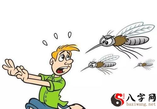 梦到蚊子咬人