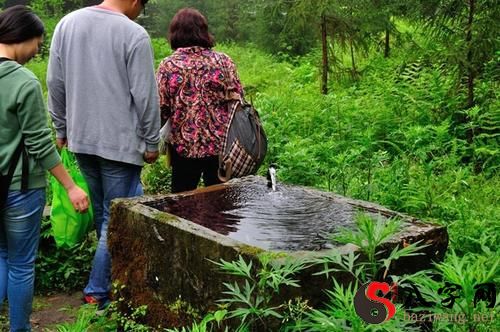 梦到旅行掉队了