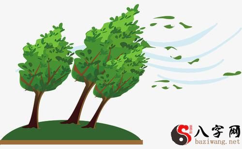 梦到风吹倒大树