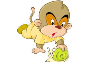 1992年属猴是什么运势如何