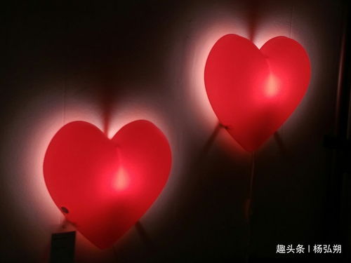 1981年生下来属鸡人的命运